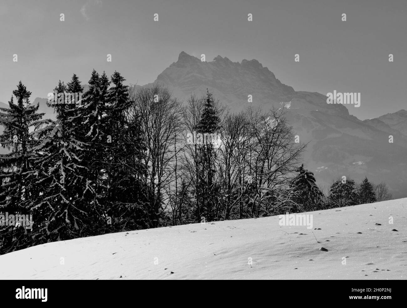 Blick auf die Alpen von Les Ecovets oberhalb von Villars sur Ollon. Stockfoto