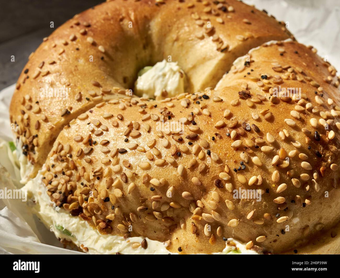 Ein Everything Bagel mit Scallion-Frischkäse, serviert in Queens County, New York City, NY, USA Stockfoto