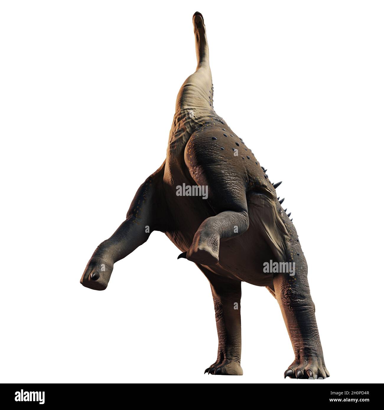 Titanosaurus, Dinosaurier aus der späten Kreidezeit, isoliert auf weißem Hintergrund Stockfoto