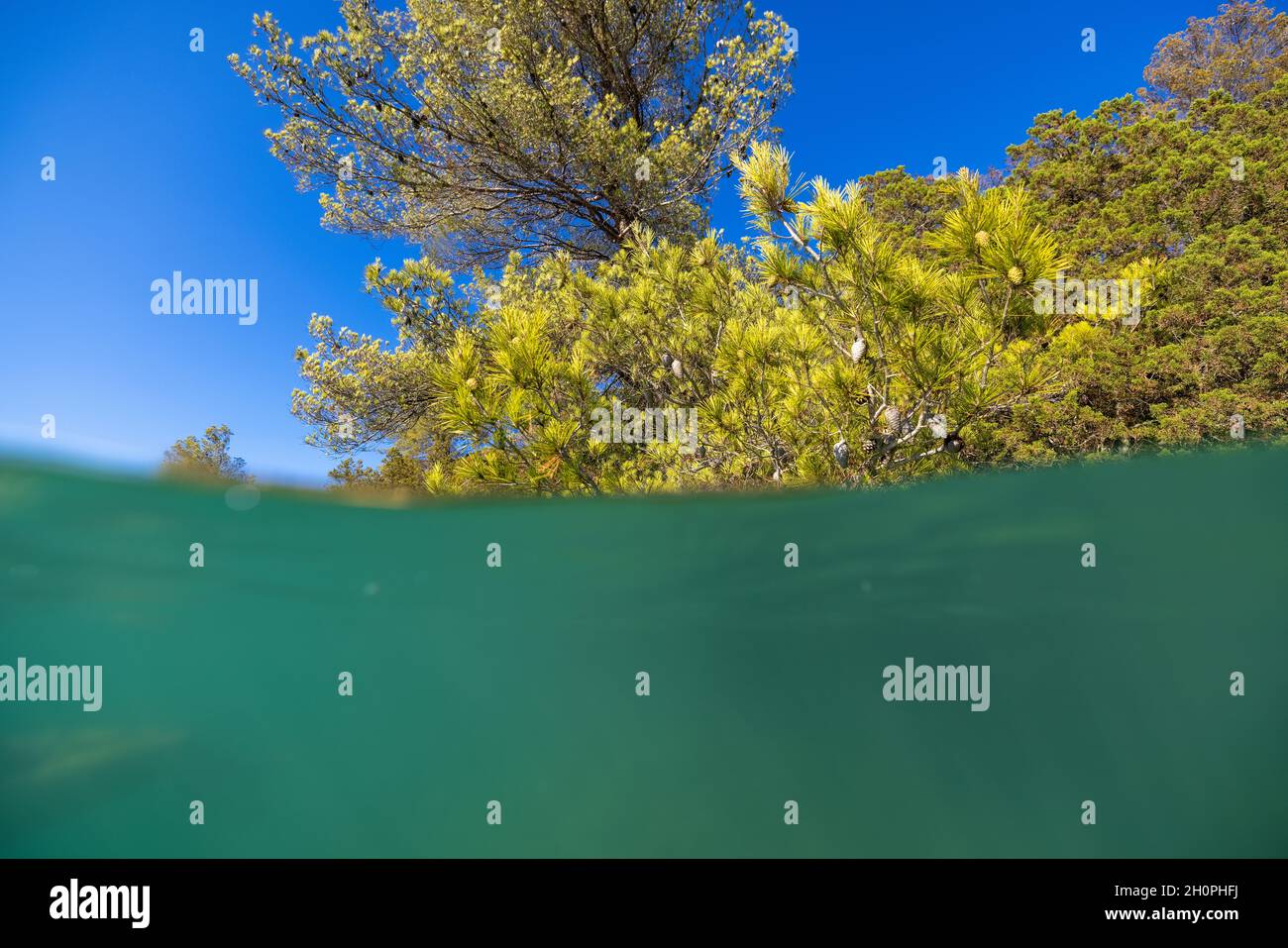 Unterwasserfoto des Sees auf der Insel Mljet, Kroatien Stockfoto