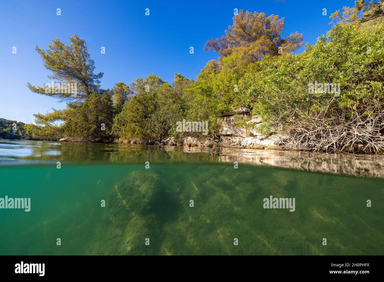 Unterwasserfoto des Sees auf der Insel Mljet, Kroatien Stockfoto