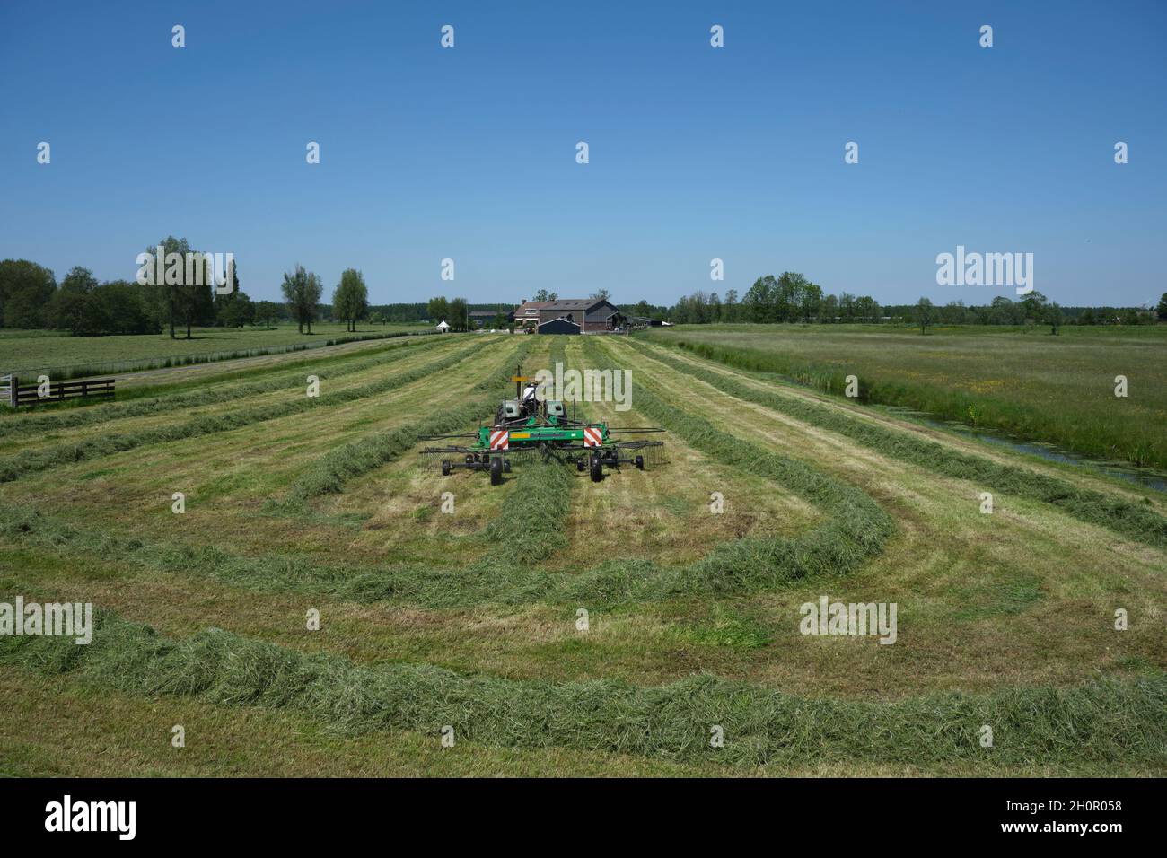 Traktor, der Gras auf dem Feld in den Niederlanden abrollt Stockfoto