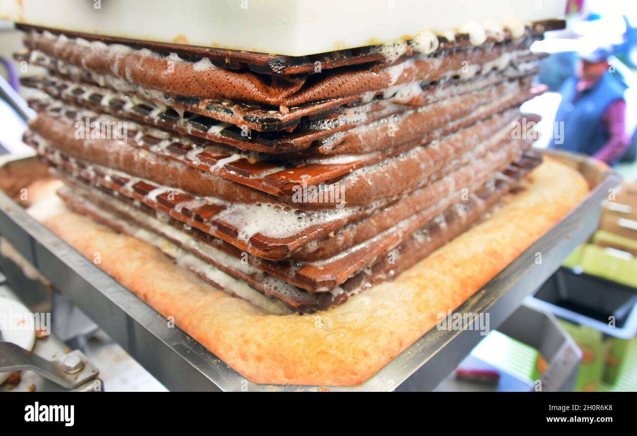 11. Oktober 2021, Sachsen, Fuchshain bei Leipzig: Beim mobilen Apfelbrecher, der vom Leipziger Garten- und Landschaftsbauer Andreas Richter für einen Tag in Fuchshain bei Leipzig eingerichtet wurde, läuft frischer Apfelsaft auf einer Hydraulikpresse über die mit Apfelbrei gefüllten Presstücher. Vor den Augen seiner Kunden wird die kleine Obstfabrik auf Rädern die selbst geernteten vitaminreichen Früchte bis Ende Oktober an verschiedenen Standorten zu natürlich bewölktem Direktsaft verarbeiten und anschließend in 5-Liter-Verpackungen nach Hause nehmen. Mit der mobilen Zideerie Andreas Richt Stockfoto