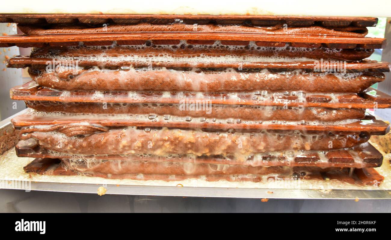 11. Oktober 2021, Sachsen, Fuchshain bei Leipzig: Beim mobilen Apfelbrecher, der vom Leipziger Garten- und Landschaftsbauer Andreas Richter für einen Tag in Fuchshain bei Leipzig eingerichtet wurde, läuft frischer Apfelsaft auf einer Hydraulikpresse über die mit Apfelbrei gefüllten Presstücher. Vor den Augen seiner Kunden wird die kleine Obstfabrik auf Rädern die selbst geernteten vitaminreichen Früchte bis Ende Oktober an verschiedenen Standorten zu natürlich bewölktem Direktsaft verarbeiten und anschließend in 5-Liter-Verpackungen nach Hause nehmen. Mit der mobilen Zideerie Andreas Richt Stockfoto