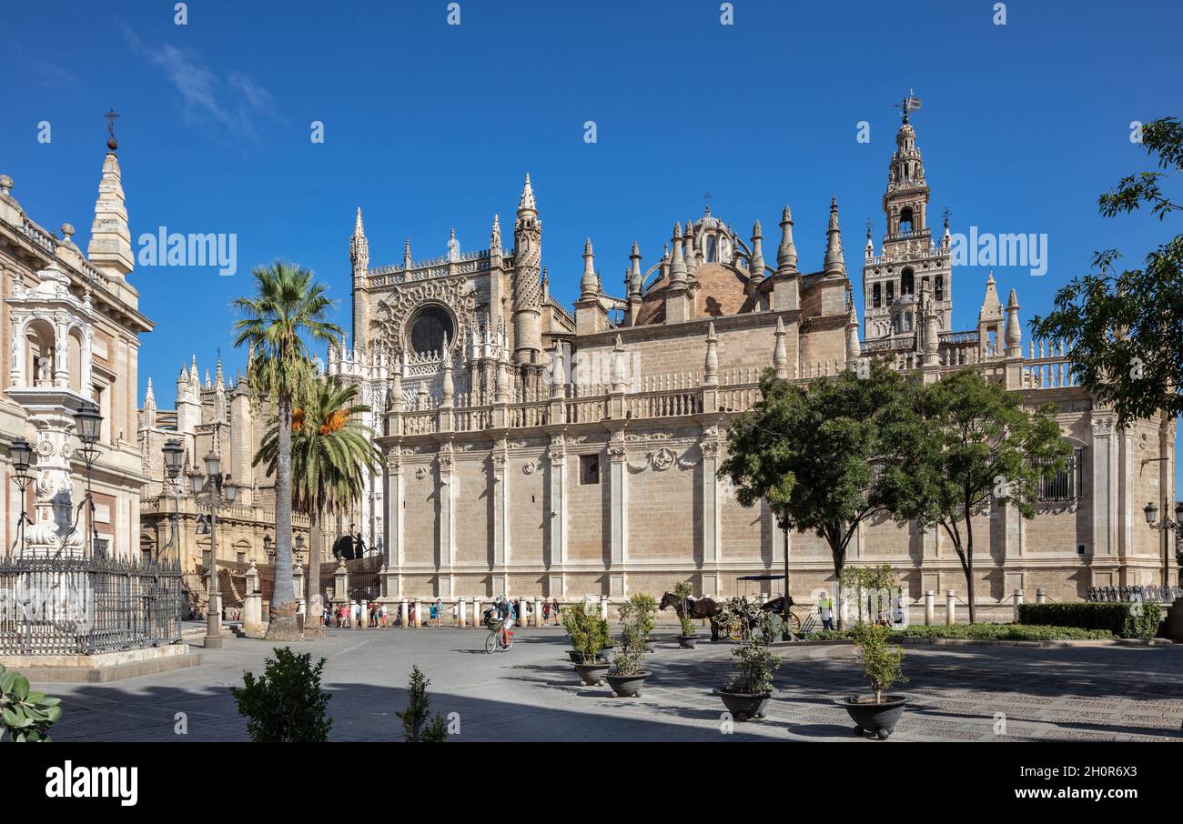 Kathedrale Von Sevilla. Kathedrale von Sevilla Stockfoto