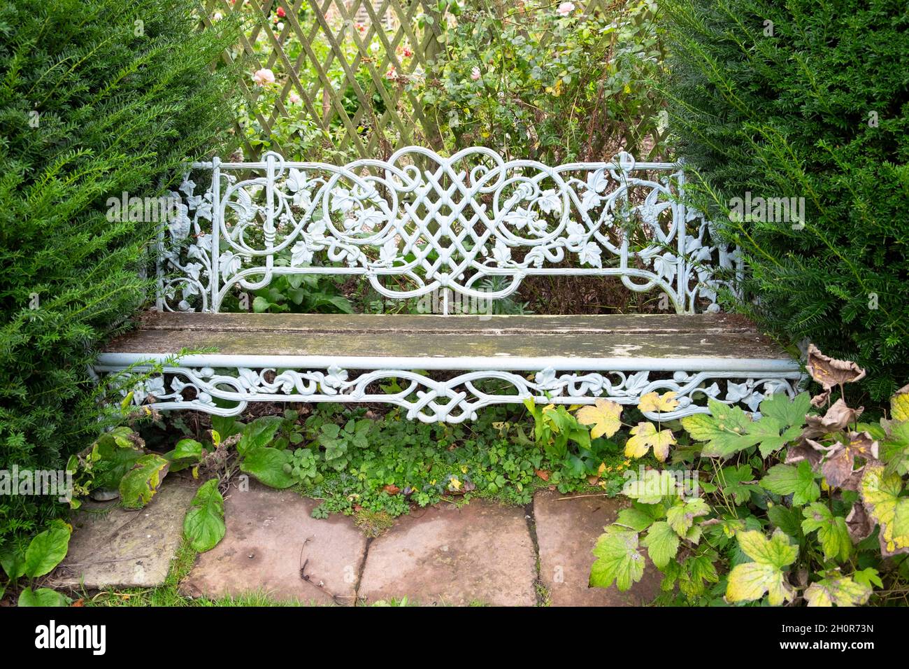 Kunstvolle alte alte alte Gartenbank aus Eisen und Holz mit Eibenbäumen auf beiden Seiten in Rye East Sussex England Großbritannien Großbritannien KATHY DEWITT Stockfoto