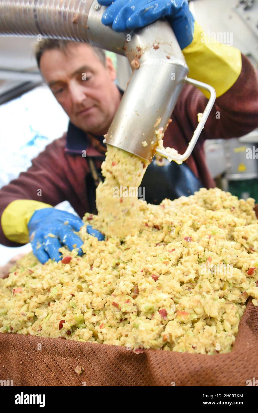 11. Oktober 2021, Sachsen, Fuchshain bei Leipzig: Beim mobilen Apfelbrecher, der vom Leipziger Garten- und Landschaftsbauer Andreas Richter für einen Tag in Fuchshain bei Leipzig eingerichtet wurde, füllt der Garten- und Landschaftsbauer Marco Durant Maische aus Äpfeln und Quitten auf Presstücher. Vor den Augen der Kunden mit der kleinen Obstfabrik auf Rädern bis Ende Oktober werden an verschiedenen Orten die selbst geernteten vitaminreichen Früchte zu natürlich trübem Direktsaft verarbeitet und können anschließend in 5-Liter-Verpackungen nach Hause genommen werden. Mit der mobilen Zideerei will Andreas Richter betrügern Stockfoto