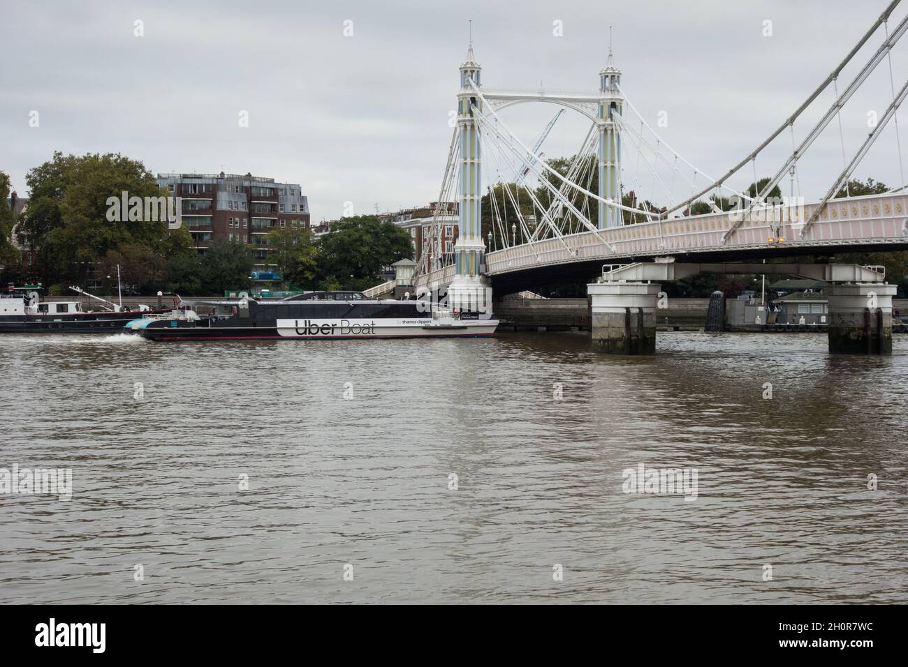 Ein Uber-Boot fährt unter der Albert Bridge (auch bekannt als The Trembling Lady) auf der Themse in Battersea, London, England, Großbritannien, vorbei Stockfoto