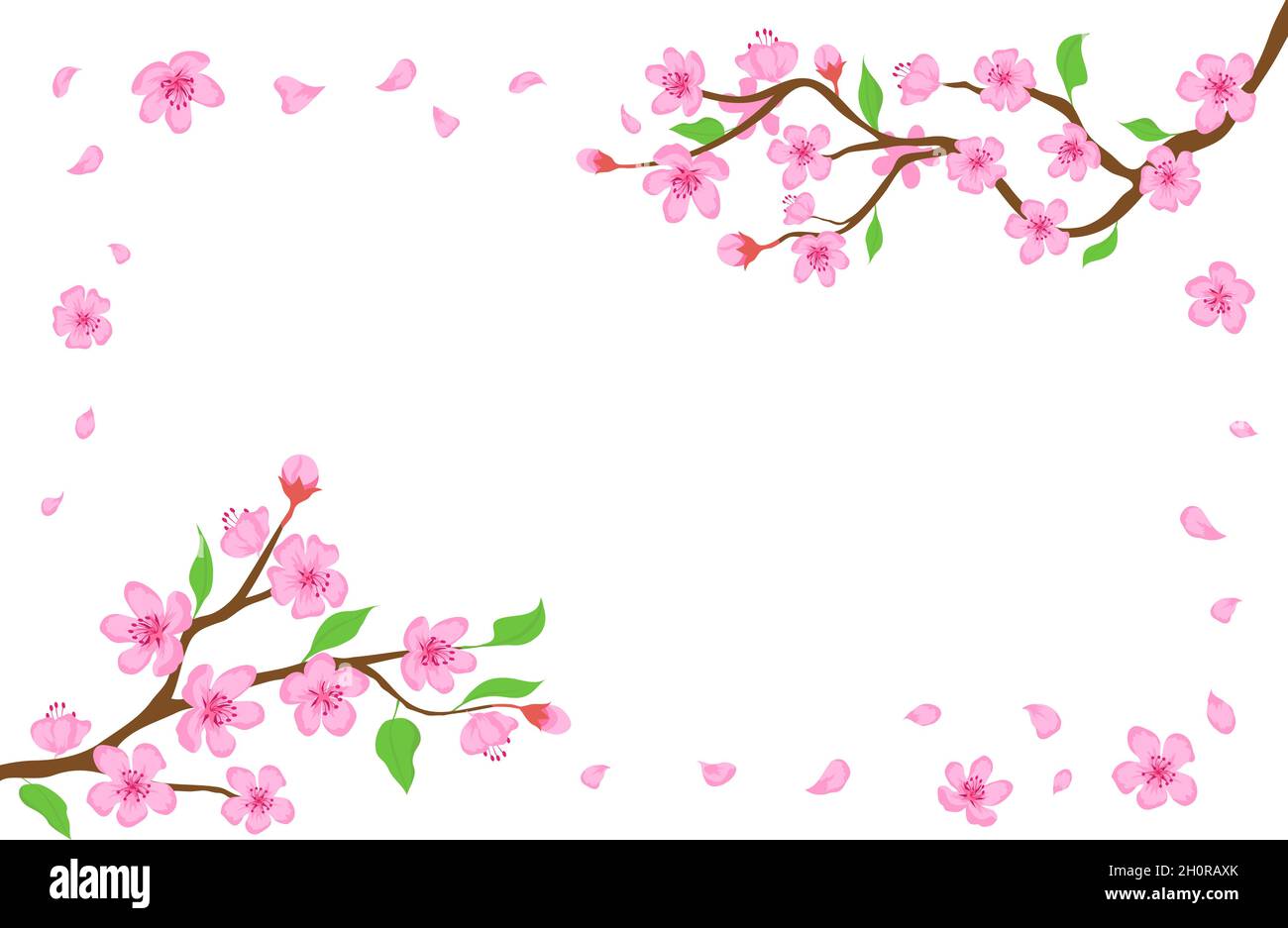 Cartoon japanische Kirschblüte und fallende Blütenblätter Hintergrund. Sakura Zweige mit rosa Blumen Banner blühenden Frühlingsbaum Vektor-Rahmen Stock Vektor