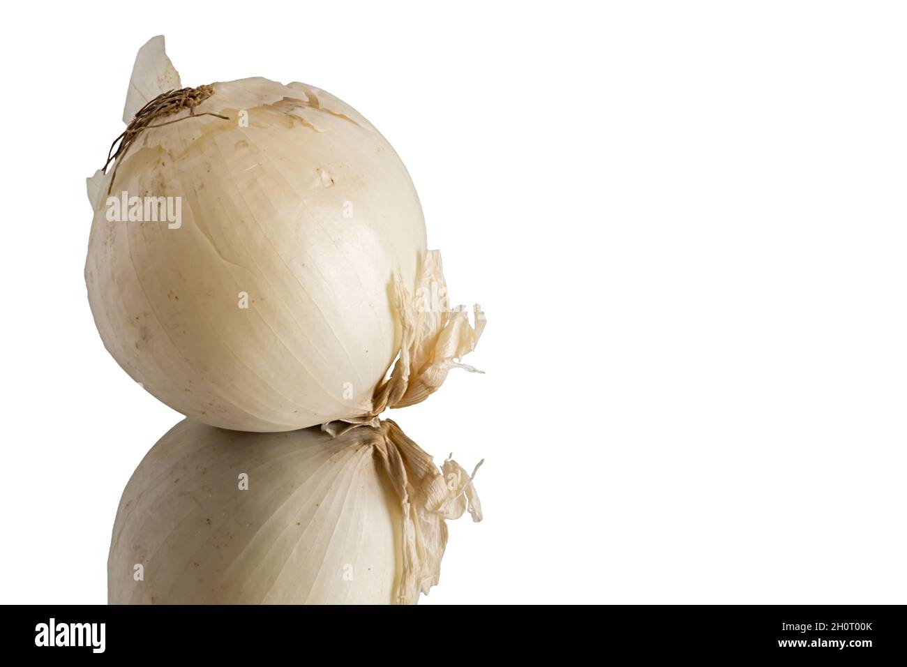 cipolla bianca su fondo bianco Stockfoto