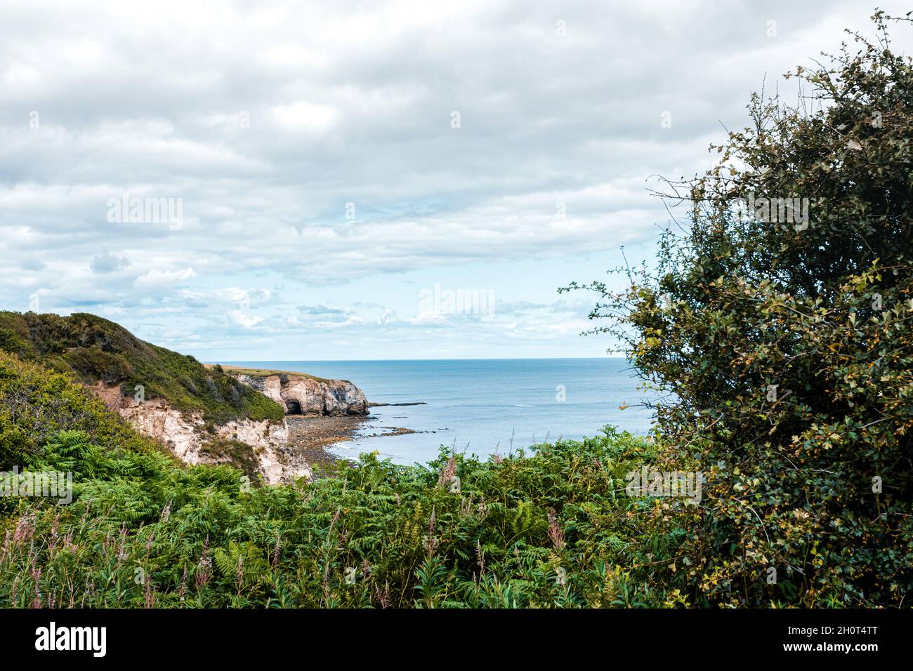 County Durham Großbritannien: 26. Juli 2020: Durham Heritage Coast im Sommer mit viel Laub Stockfoto