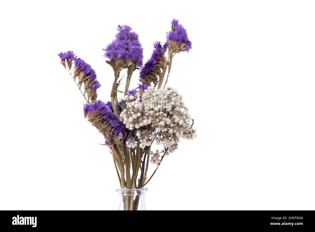 Blumenarrangement aus getrockneten Blumen in einer transparenten Vase auf weißem Hintergrund, Nahaufnahme Stockfoto