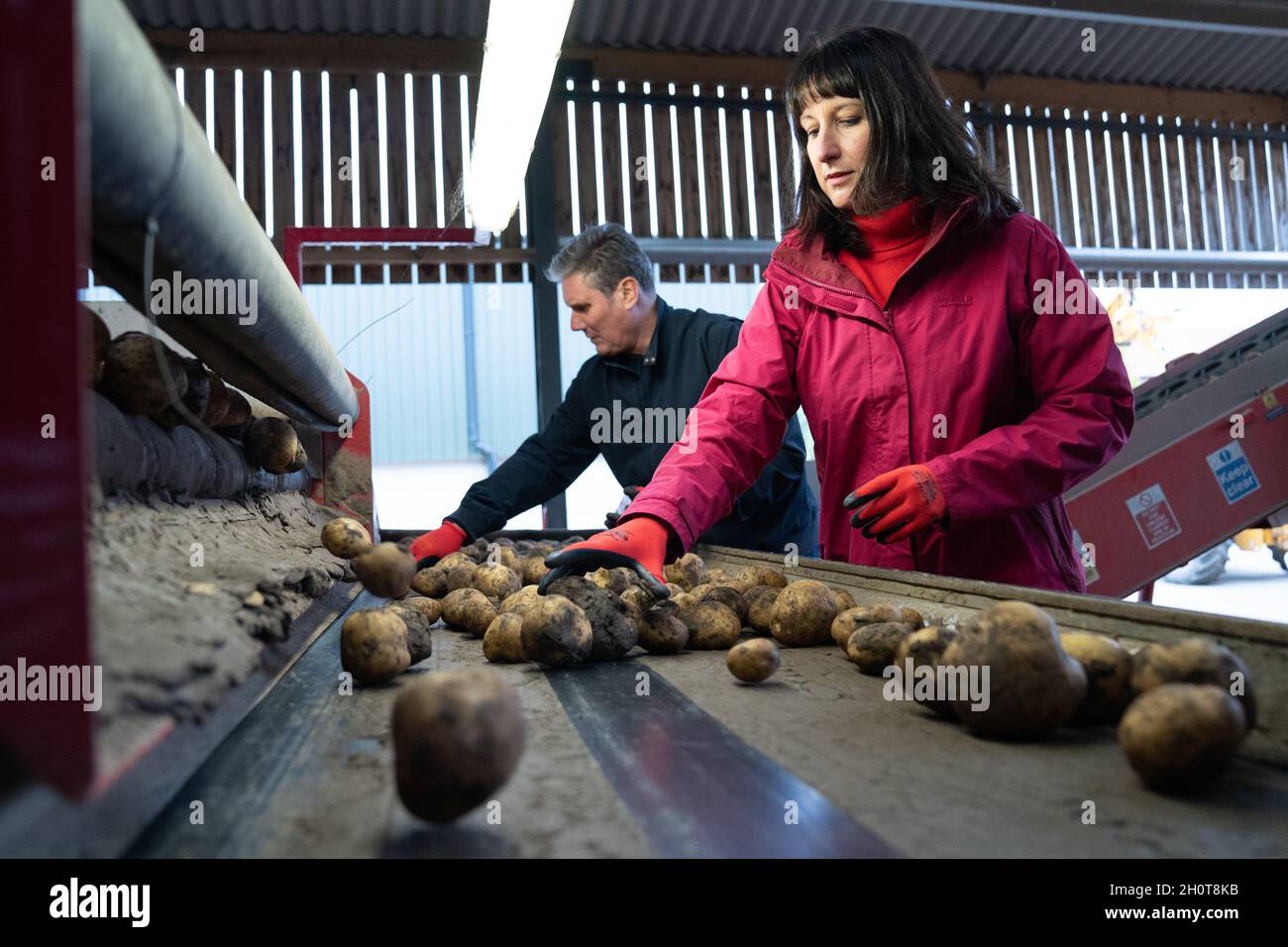Der Arbeitsleiter Sir Keir Starmer und die Schattenkanzlerin Rachel Reeves helfen bei der Kartoffelsortierung während ihres Besuchs auf der Manor Farm in Kelfield, Yorkshire, wo sie mit lokalen Bauern über Lieferkettenprobleme sprachen. Bilddatum: Donnerstag, 14. Oktober 2021. Stockfoto