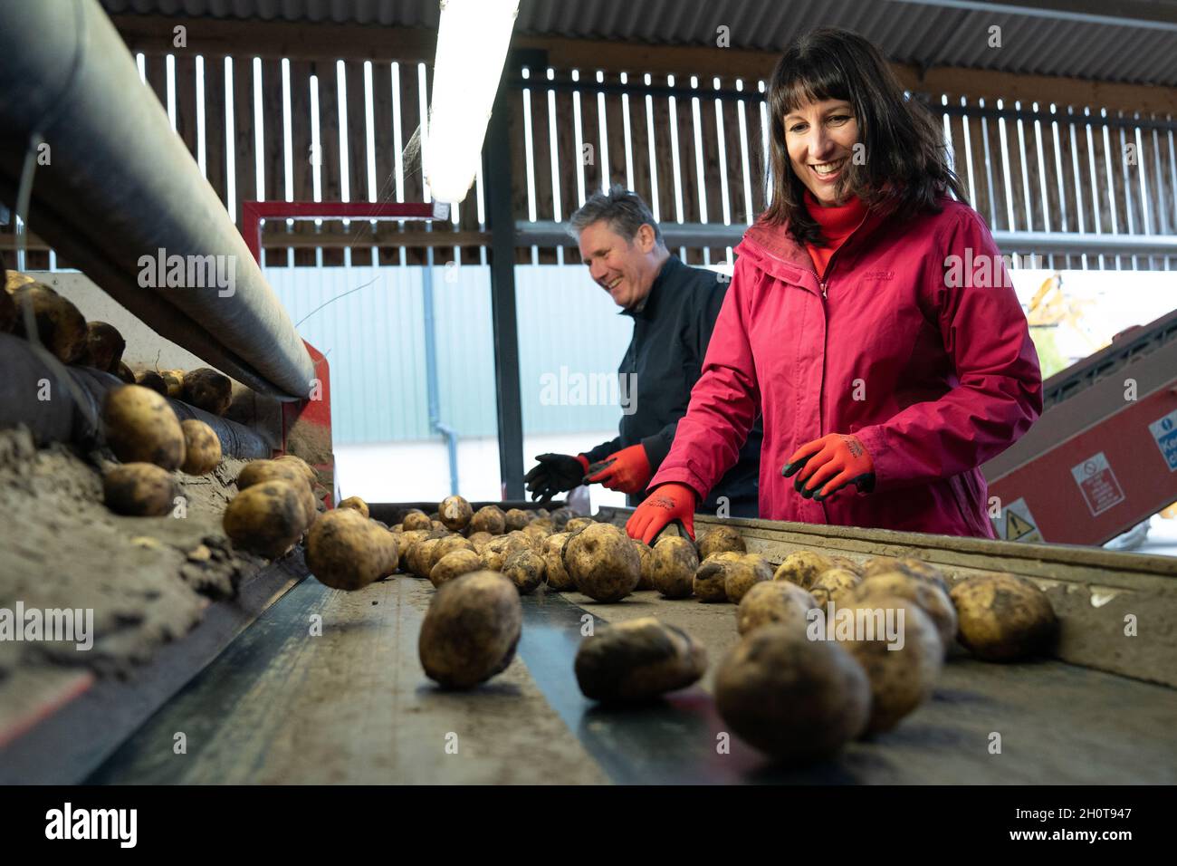 Der Arbeitsleiter Sir Keir Starmer und die Schattenkanzlerin Rachel Reeves helfen bei der Kartoffelsortierung während ihres Besuchs auf der Manor Farm in Kelfield, Yorkshire, wo sie mit lokalen Bauern über Lieferkettenprobleme sprachen. Bilddatum: Donnerstag, 14. Oktober 2021. Stockfoto