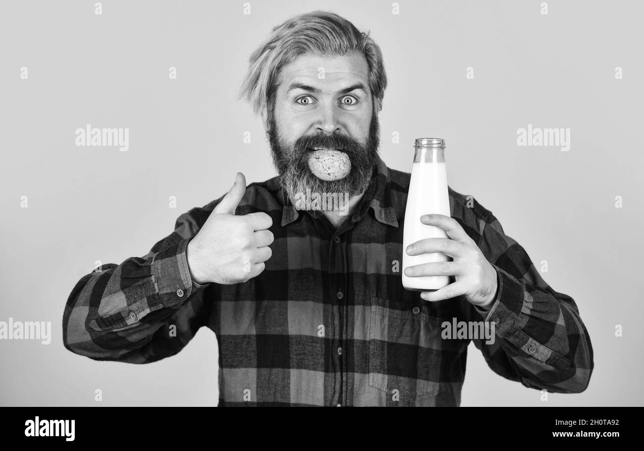 Milch und Kekse. Happy Farmer essen Cookie Dessert. Bärtiger Mann trinken nützliche Milch mit Gebäck. Das Konzept der gesunden Ernährung Bio-Landwirtschaftsprodukte für Stockfoto