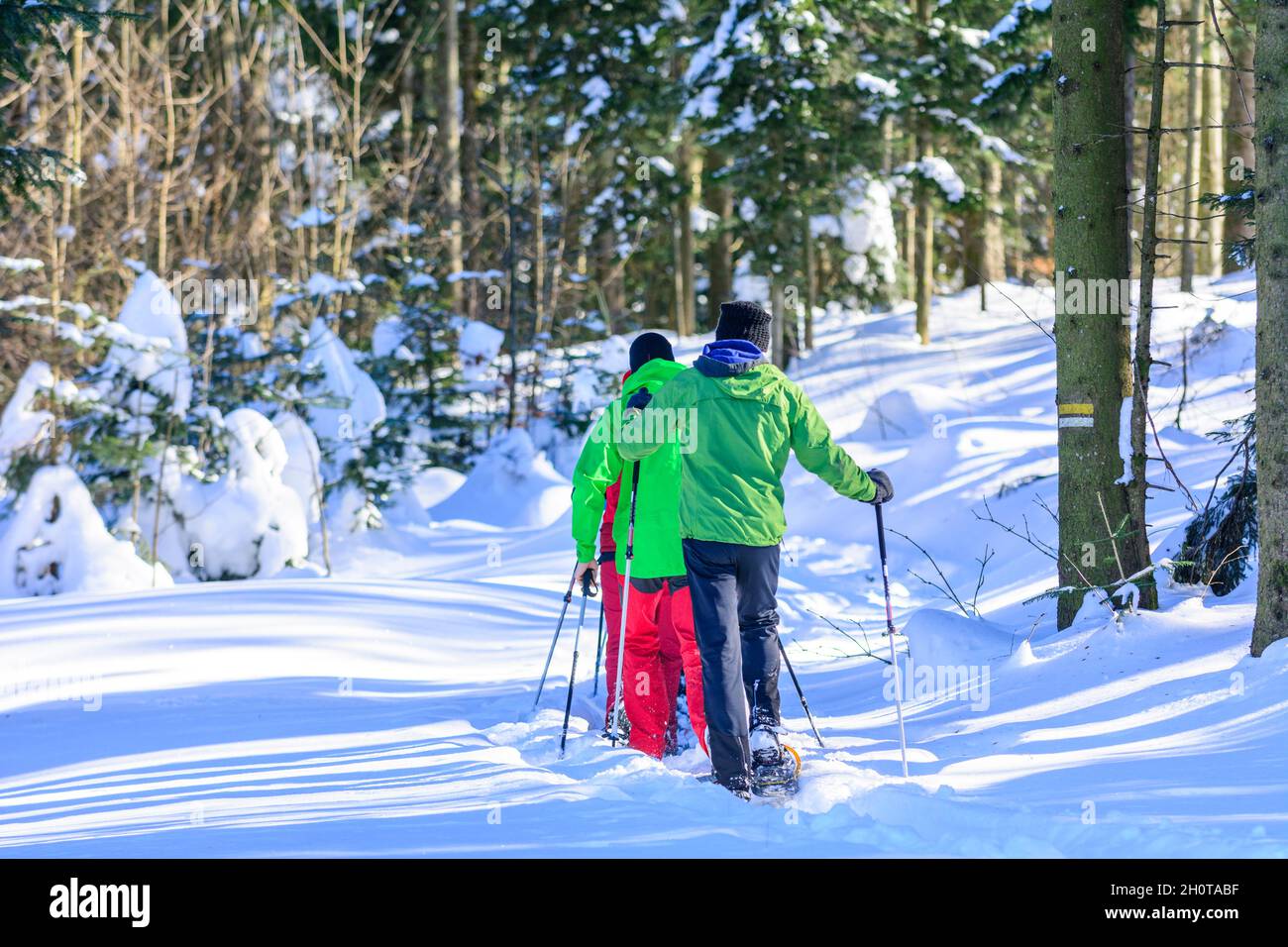 Eine Gruppe von gut gelaunten Menschen, die sich einem Schneeschuh Wanderung in der winterlichen Natur an einem kalten, sonnigen Tag Stockfoto