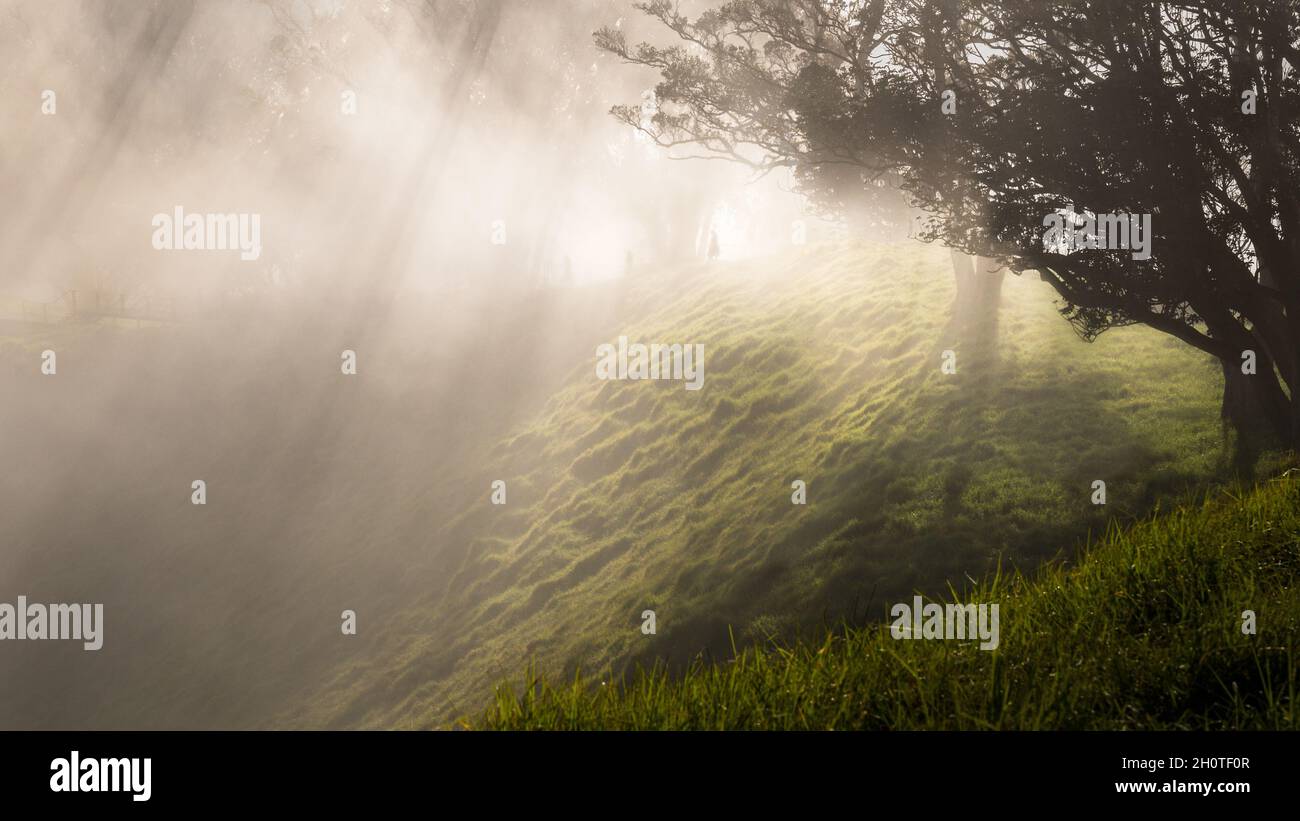 Silhouetten von Menschen, die im Nebel auf dem Gipfel des Mount Eden wandern, mit Sonnenstrahlen, die durch die Bäume kommen, und Vulkankrater im Vordergrund, Auckland Stockfoto