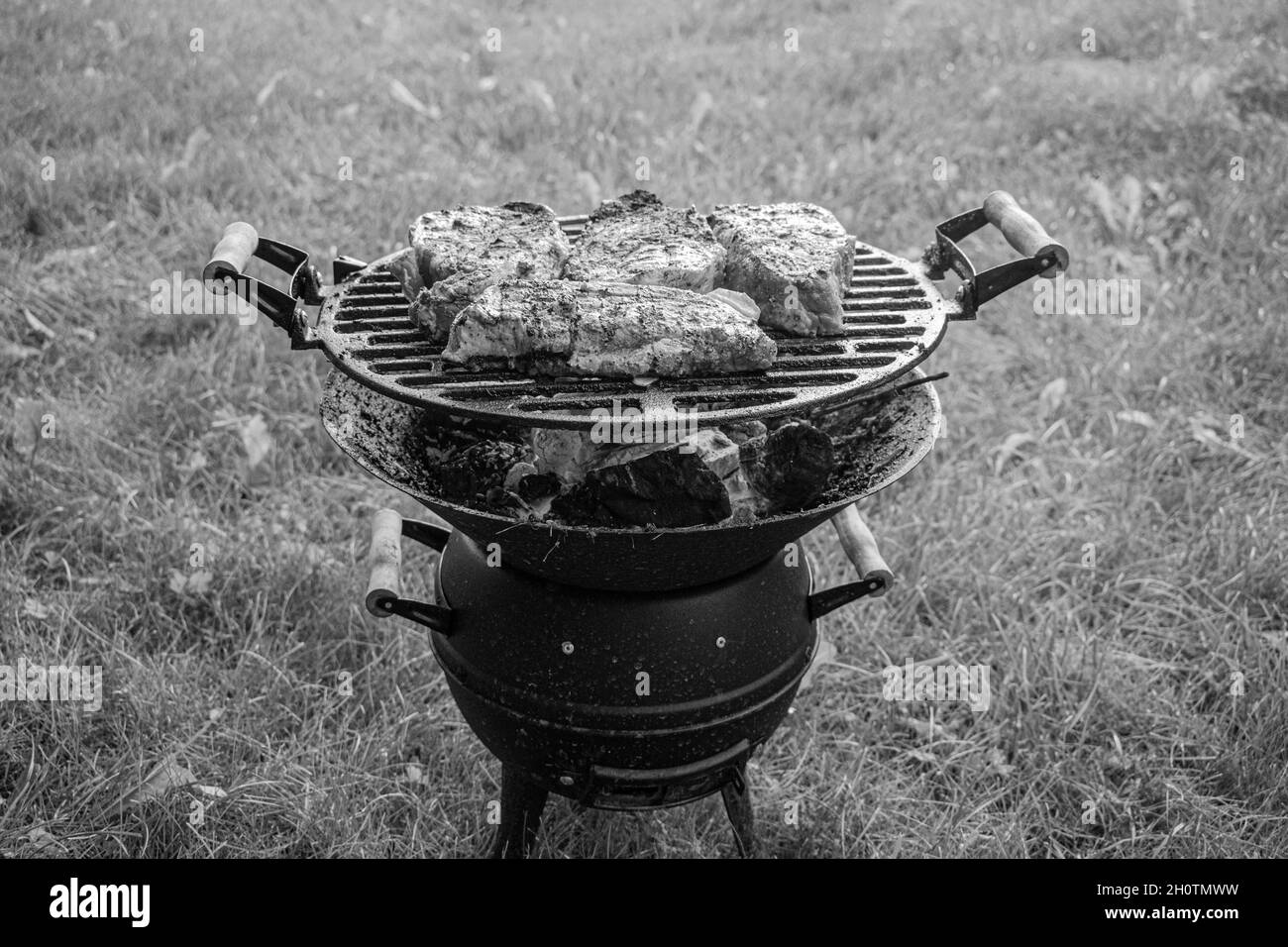 Fleisch peaes Pommes auf altem Grill in auf grüner Wiese Stockfoto