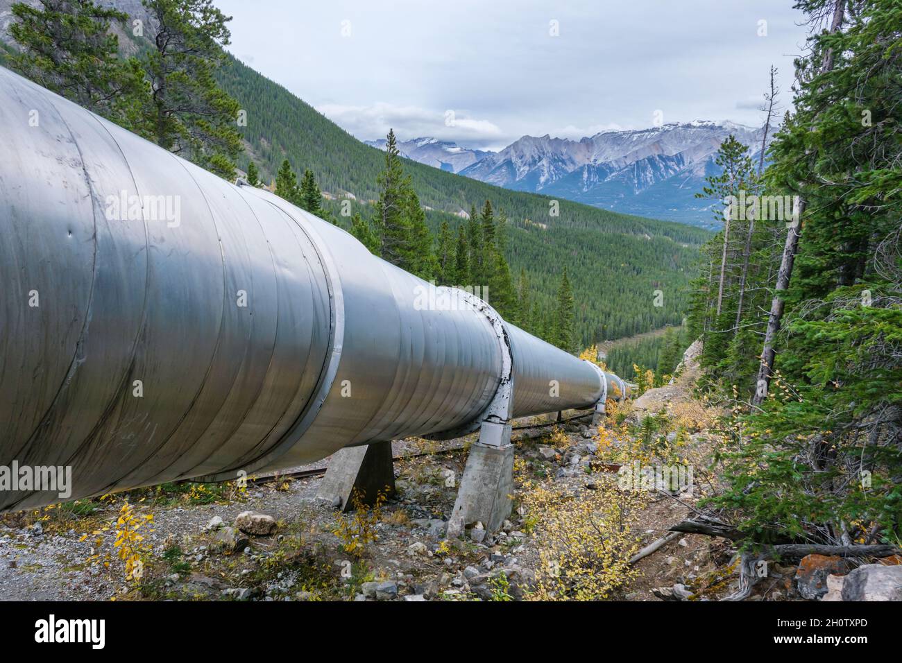 Pipeline-Wasservortrieb zum Wasserkraftwerk Rundle in der Nähe von Canmore, Alberta, Kanada Stockfoto