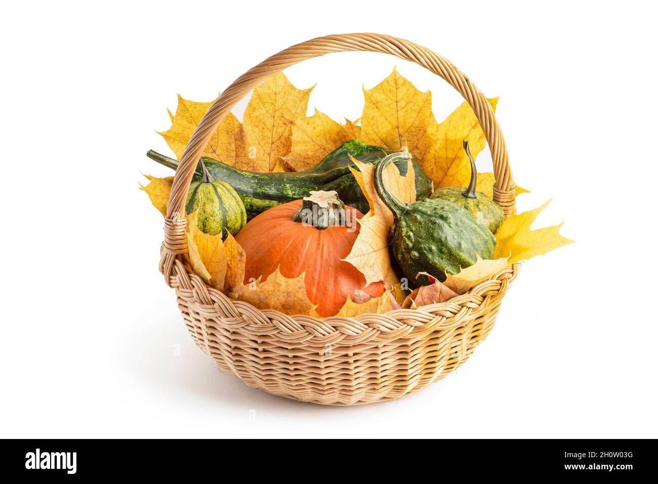 Set aus mehrfarbigen Kürbissen in einem Korbkorb, mit Ahornblättern zur Halloween Dekoration. Auf weißem Hintergrund isolieren. Herbst Set von dekorativen Stockfoto