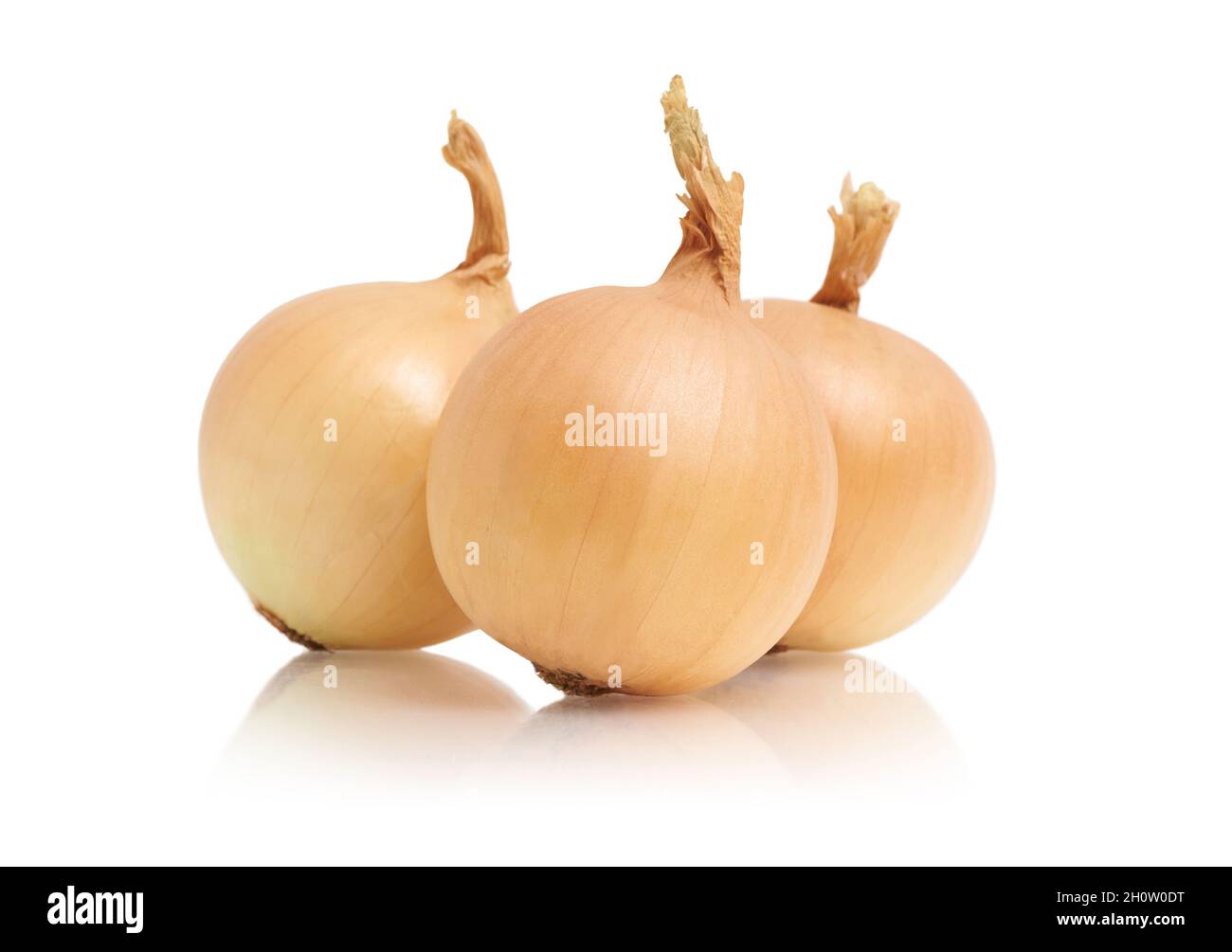 Frische und reife Zwiebel auf weißem, isoliertem Hintergrund Stockfoto