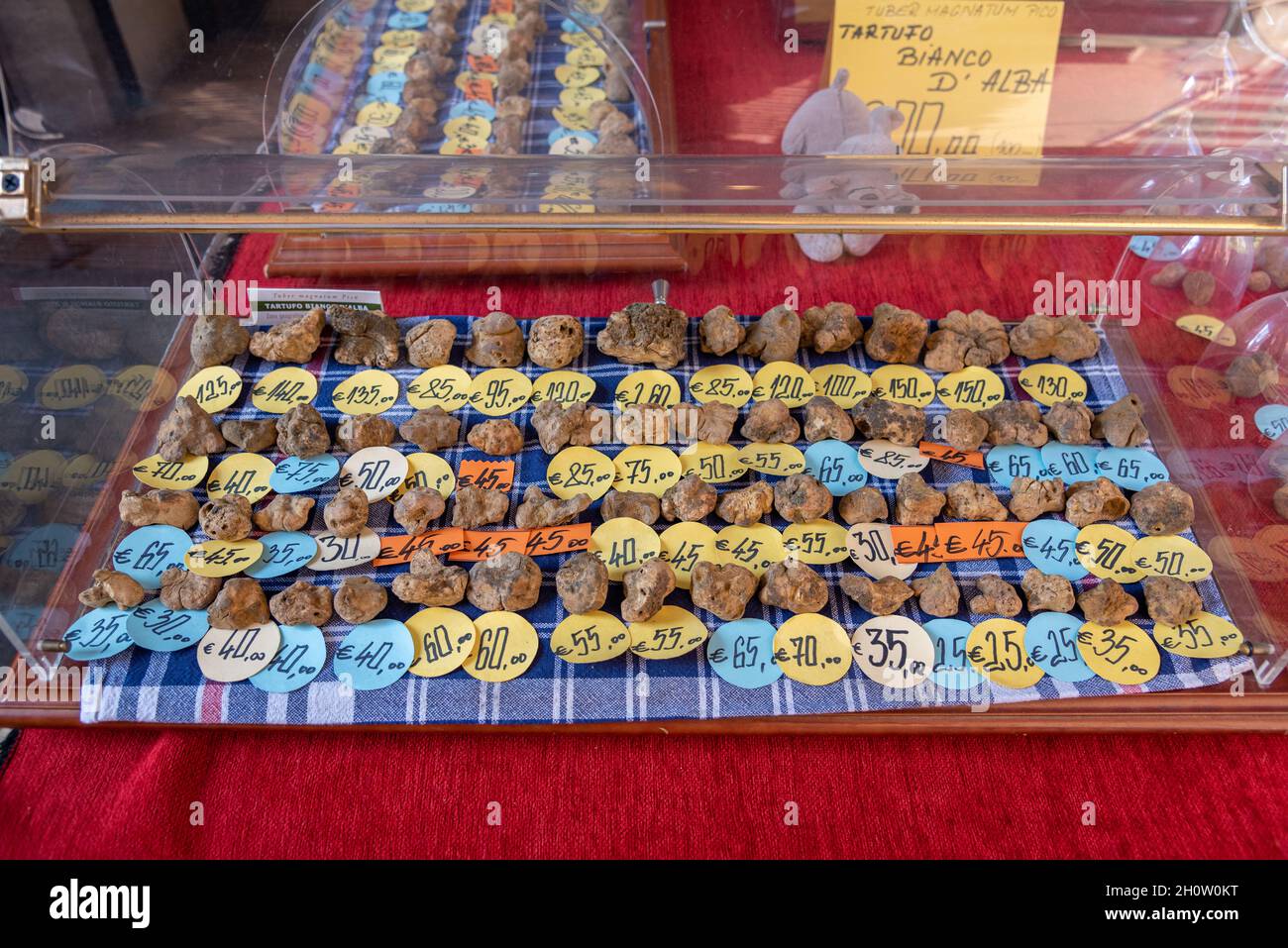 Alba, Cuneo, Piemont, Italien - 12. Oktober 2021: Weiße Trüffel werden auf der Trüffelmesse Alba (Fiera delTartufo di Alba) zum Verkauf angeboten Stockfoto