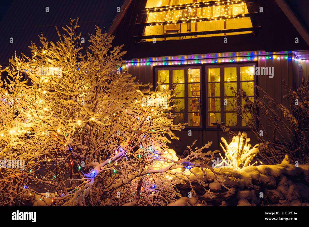 Selektive Fokus auf verschneite Weihnachten LED-Lichter geschmückt Busch, Holz Gitter Fenster mit leuchtenden Lichtern auf dem Hintergrund. Gemütliches Weihnachtskonzept. Stockfoto