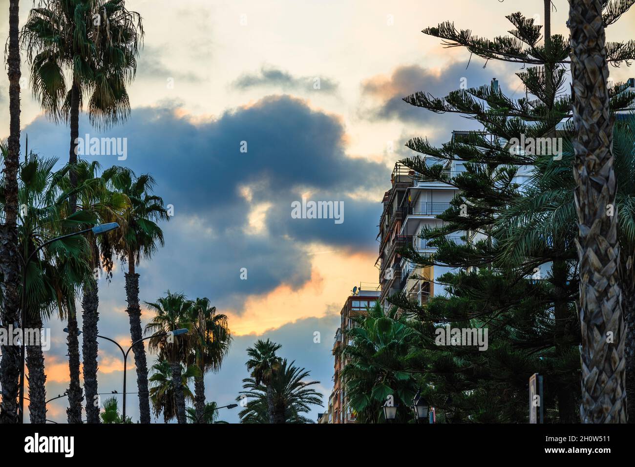 Schöner Sonnenuntergang mit Ferienwohnungen und tropischen Pflanzen Stockfoto
