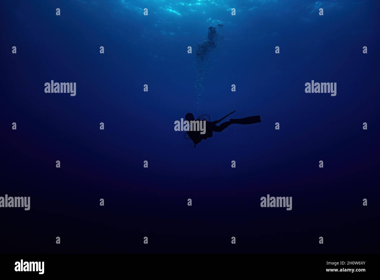 Frau Scuba Diver Silhouette schwimmen in tiefblau Stockfoto