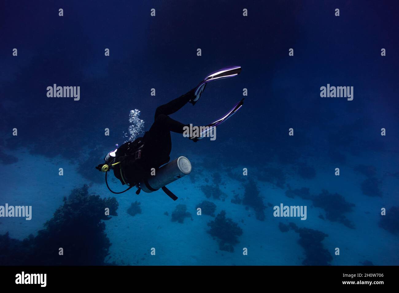 Frau Scuba Diver schwimmt in tiefblauem Himmel auf dem Kopf Stockfoto