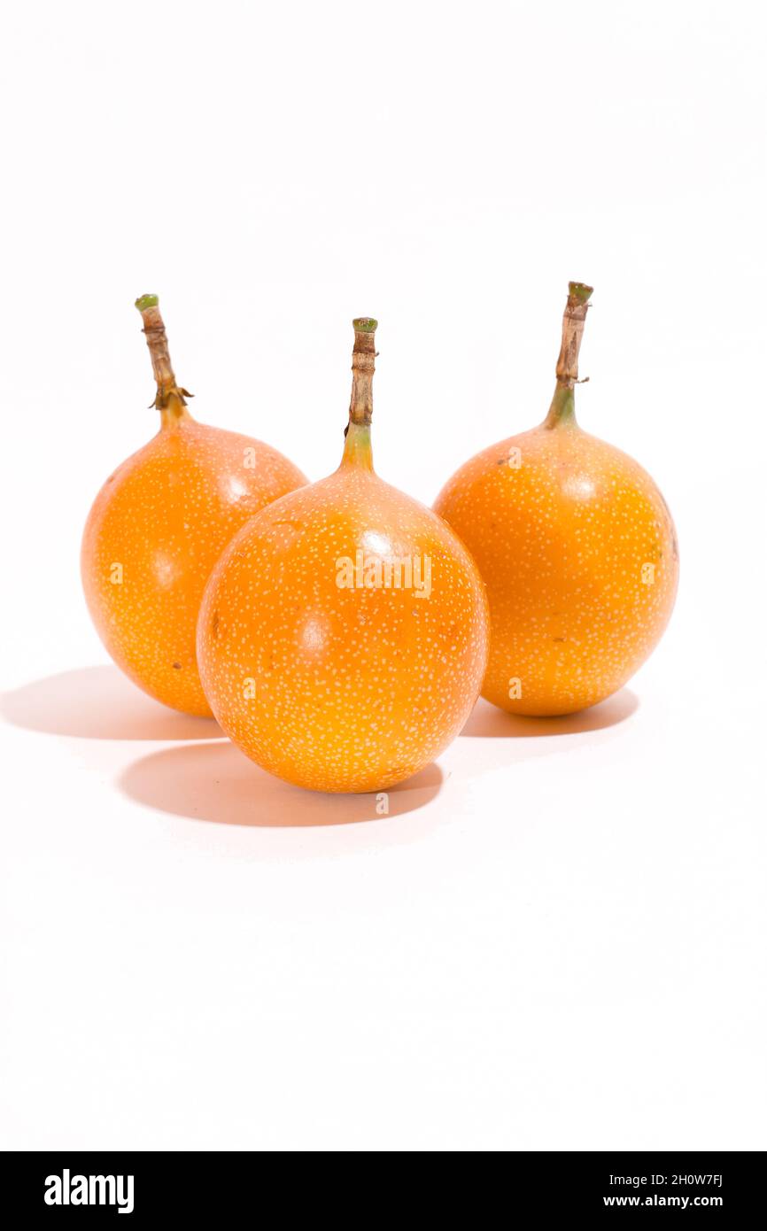Drei Passiflora ligularis. Granadilla auf völlig weißem Hintergrund. Stockfoto