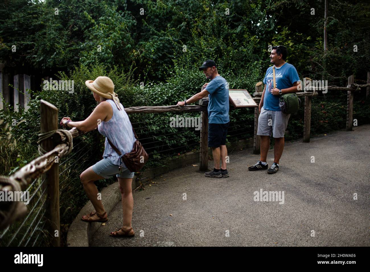 Ehepaar, das im Zoo von Cincinnati mit Son in Law steht Stockfoto