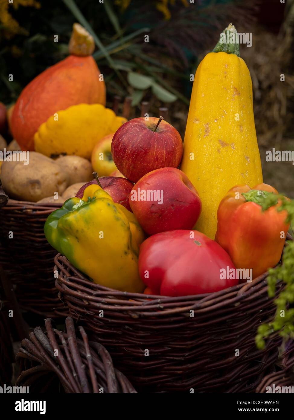 Buntes Obst und Gemüse in einem Weidenkorb. Kürbis, Kürbis, Tomaten, Paprika, Äpfel, Kartoffeln. Herbststimmung. Stockfoto