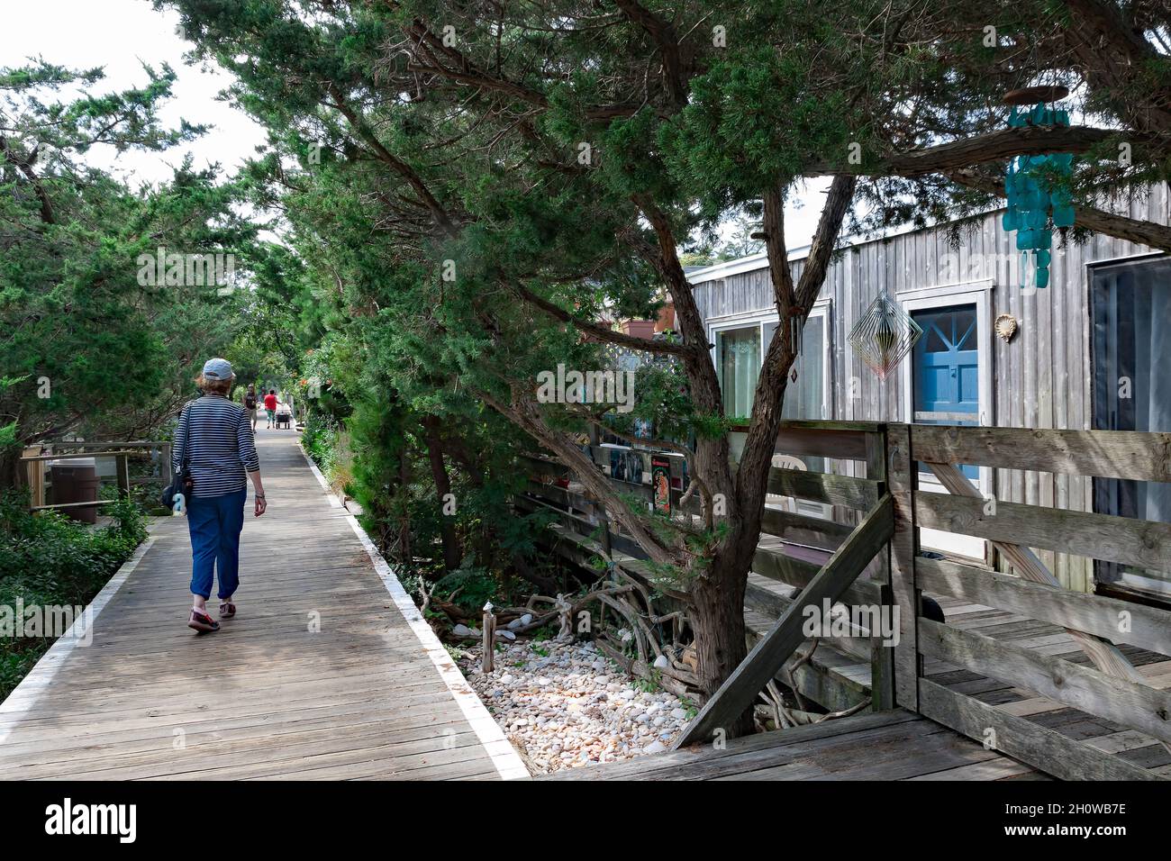 Die Promenade in Cherry Grove, Fire Island, die alle Häuser und Geschäfte der beliebten LGBT-Gemeinschaft verbindet. Stockfoto