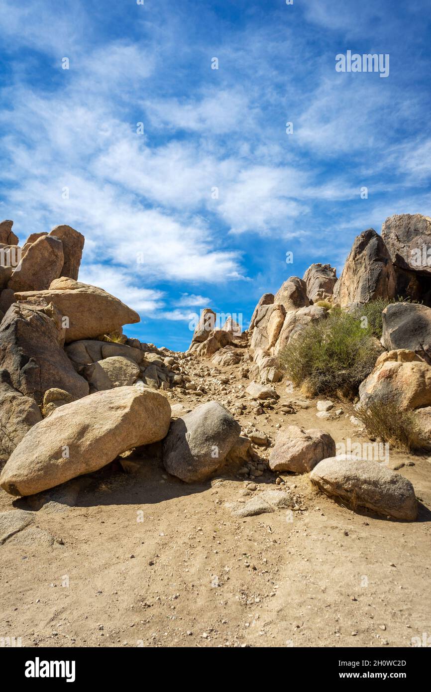 Wanderweg in der Mojave-Wüste im Apple Valley, Kalifornien Stockfoto