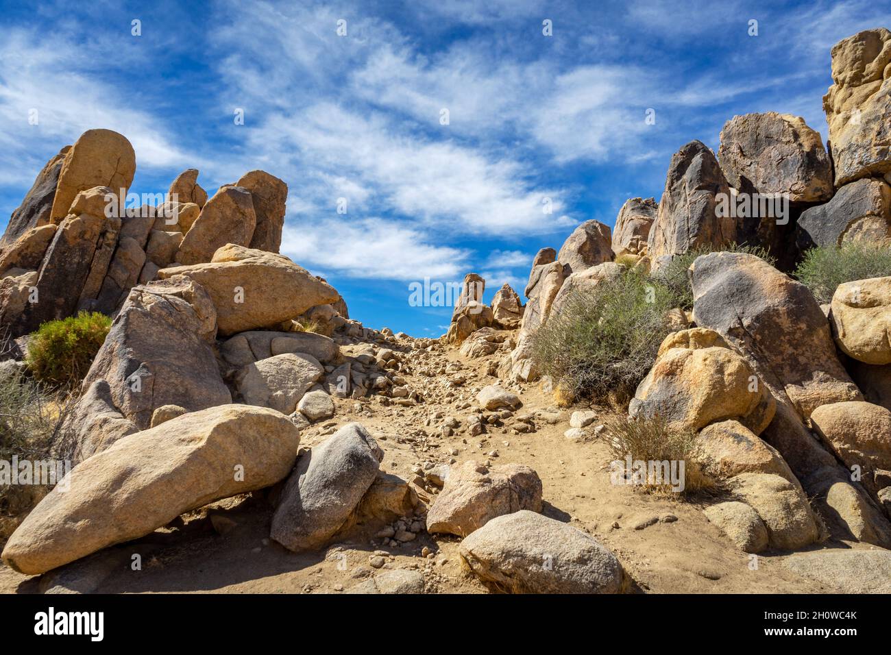 Mojave Desert Bergwanderweg im Horsemen’s Center Park im Apple Valley, Kalifornien Stockfoto