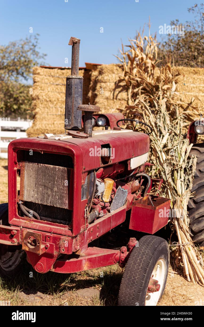 Alter Traktor Borhcard Farms Stockfoto