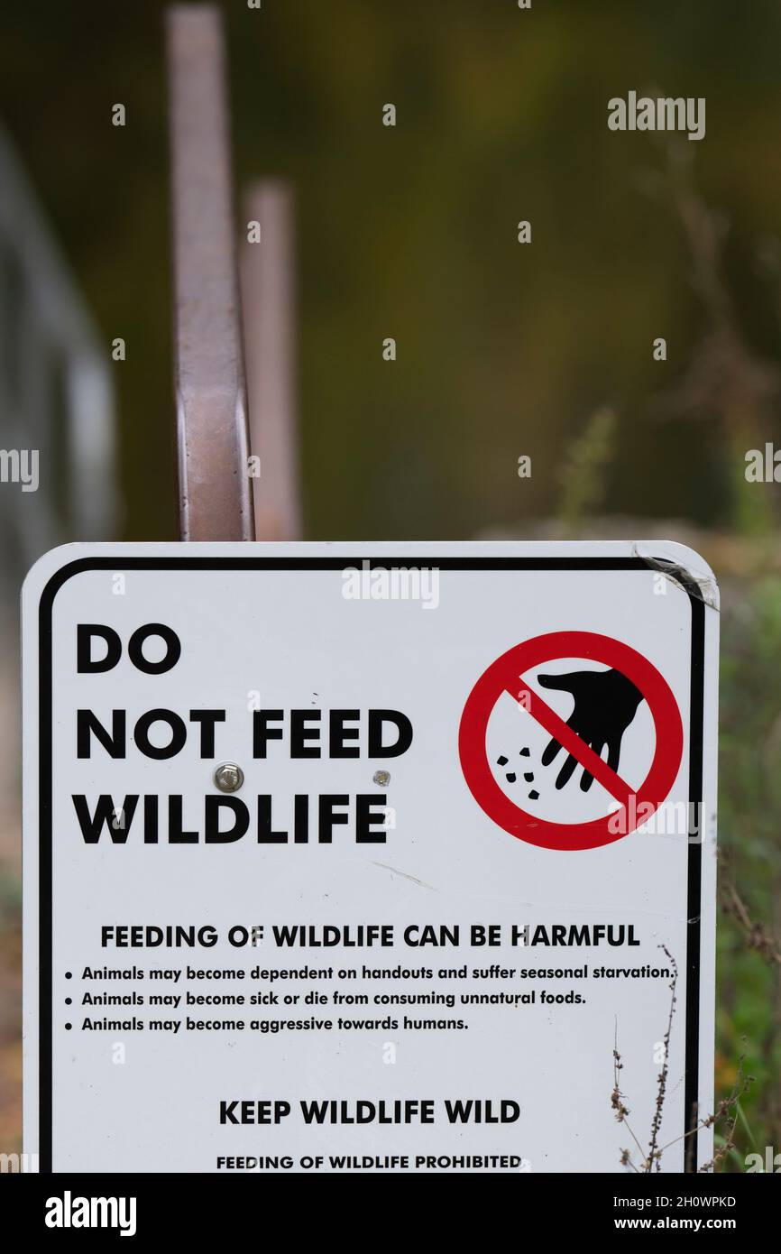 Schild, Nicht Wildtiere Füttern Stockfoto