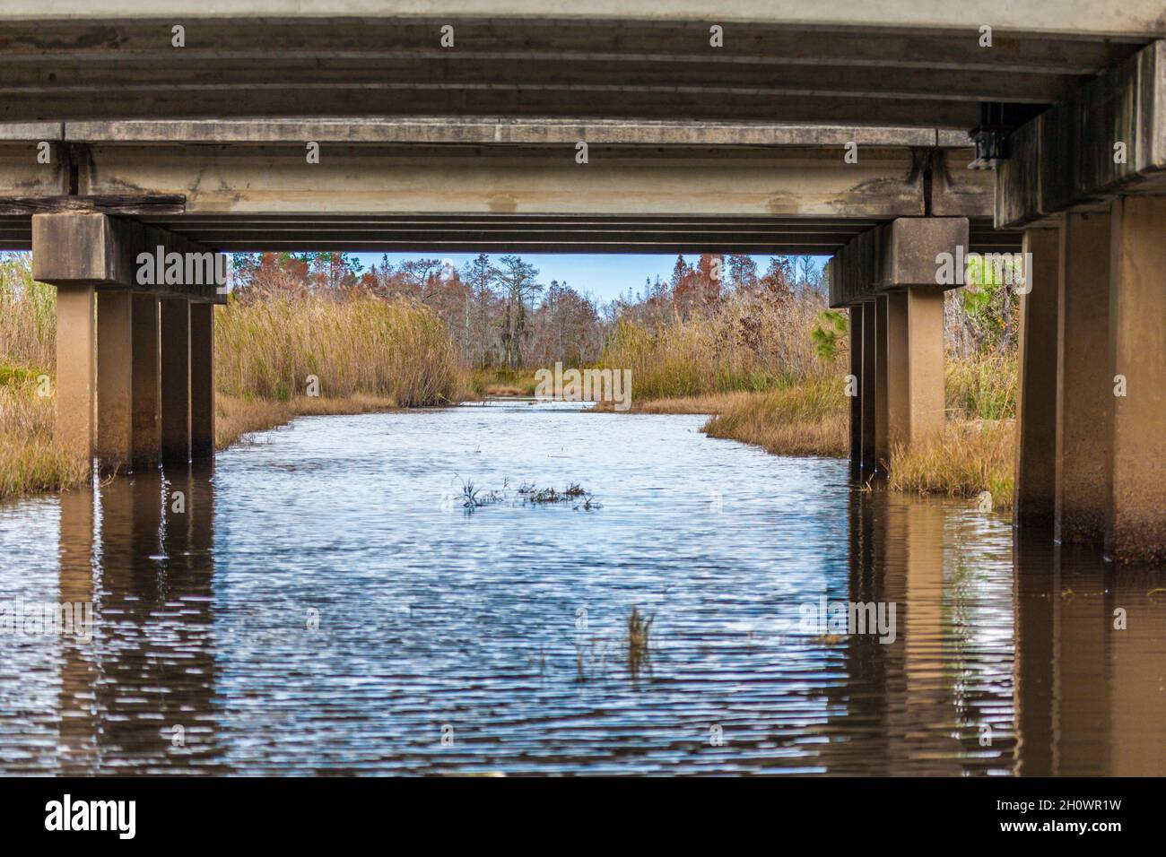 Unter der I-10 Interstate Brücke durch ein Sumpfgebiet in der Nähe von Pascagoula, Mississippi Stockfoto