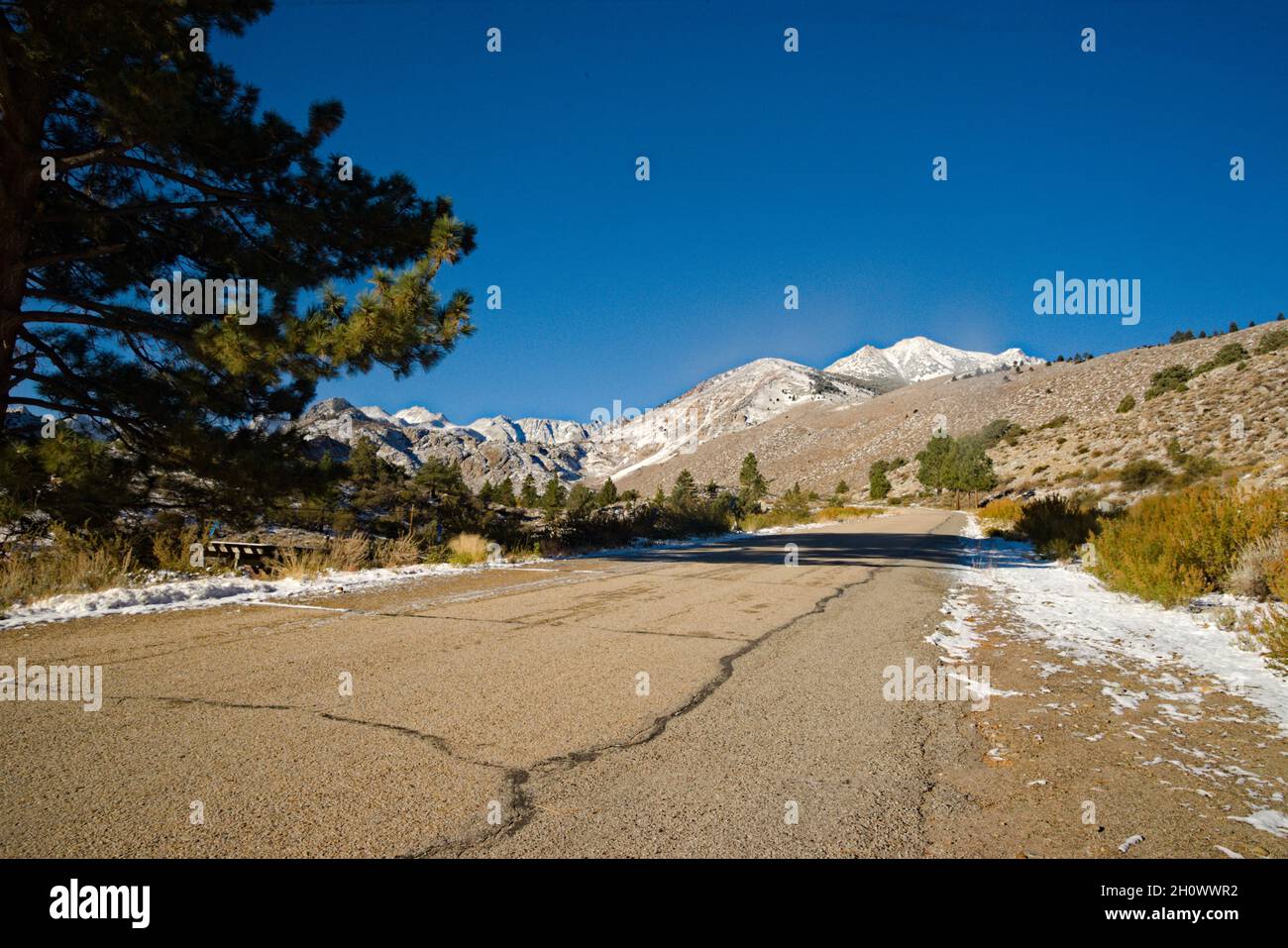 Wunderschöne Berge der östlichen Sierra nach dem letzten Schneesturm, der einen Hauch von Winter gibt, ist hier. Führende Linie der Bergstraße mit riesigen Kiefern zu den Bergen. Stockfoto