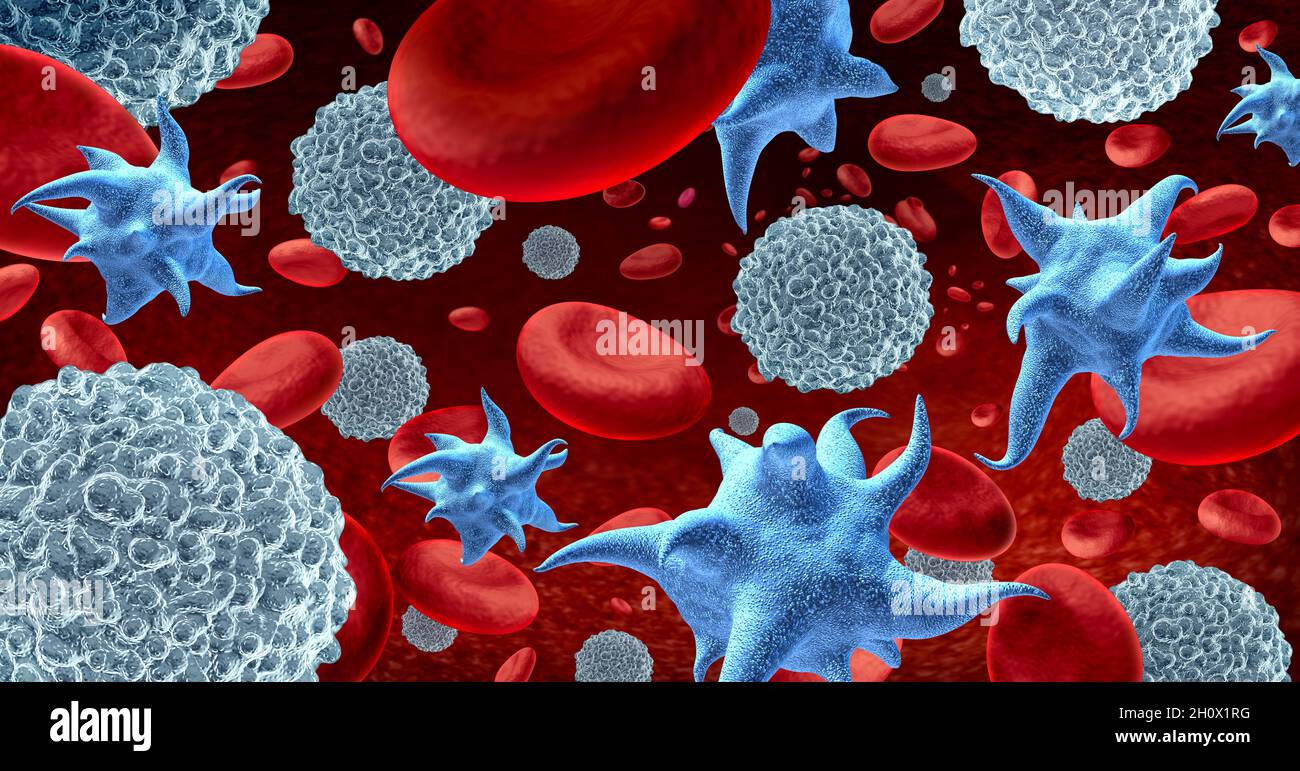 Weiße Blutkörperchen und Blutplättchen als Immuntherapie Lymphozytenzelle als Konzept des Immunsystems durch Immunologie als mikroskopische Biologie. Stockfoto