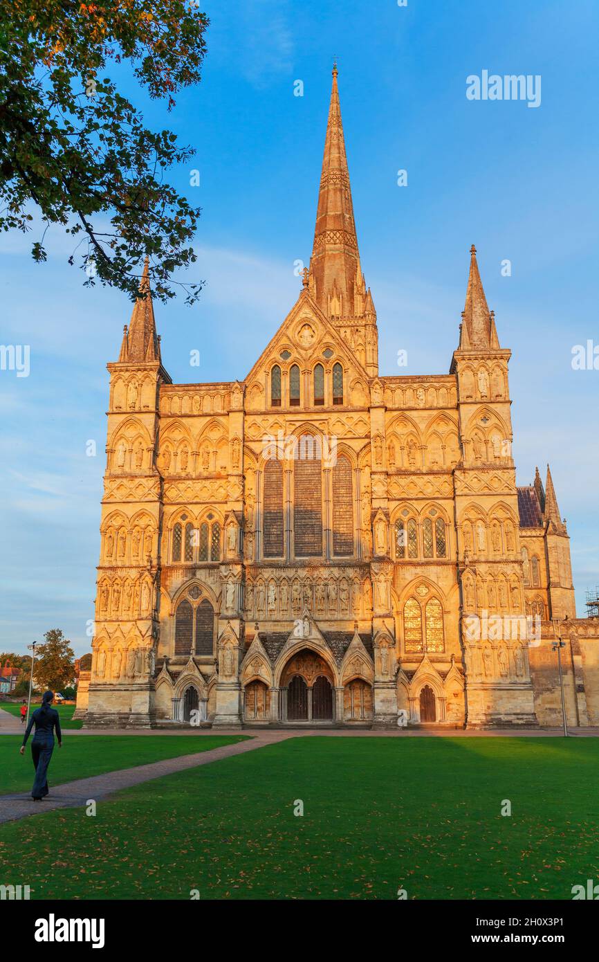 Salisbury Kathedrale, Salisbury, Wiltshire, England, Vereinigtes Königreich Stockfoto