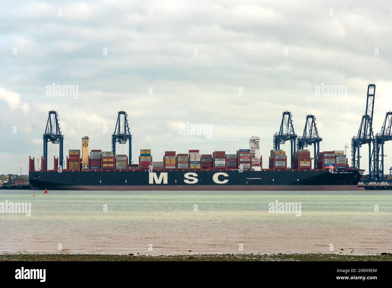 14/10/2021. Felixstowe, Großbritannien. Ein MSC-Frachtraum ist am Hafen von Felixstowe angedockt, der aufgrund des Mangels an LKW-Fahrern Schiffe aus Asien abweisen musste, weil ein Rückstand an Containern aufgrund des Mangels an LKW-Fahrern nicht verteilt wurde. AP Moller-Maresk, das weltweit größte Containerunternehmen, musste Container auf kleinere Schiffe nach Großbritannien verladen. Dies wirkt sich störend aus, da die Schifffahrt in die Vorweihnachtszeit mit einem möglichen Mangel an Weihnachtsartikeln in Großbritannien eintritt. Stockfoto