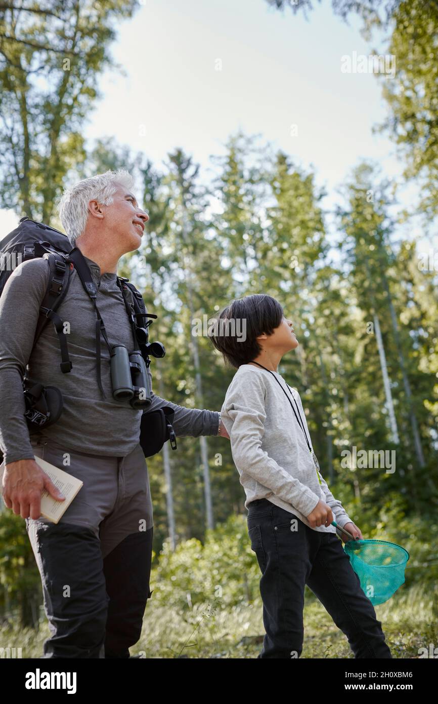Vater mit im Wald suchen im Wald Stockfoto