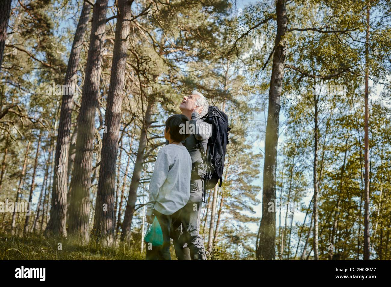 Vater mit Sohn im Wald Stockfoto