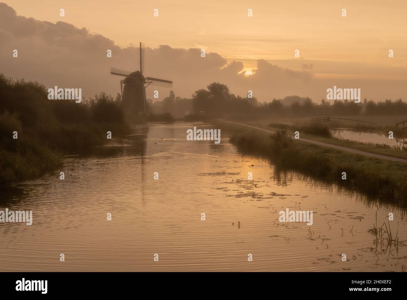 Ruhiger und nebliger Sonnenaufgang am Morgen auf der Windmühle Hazerswouder-Dorp, Rietveldse, Niederlande. Stockfoto