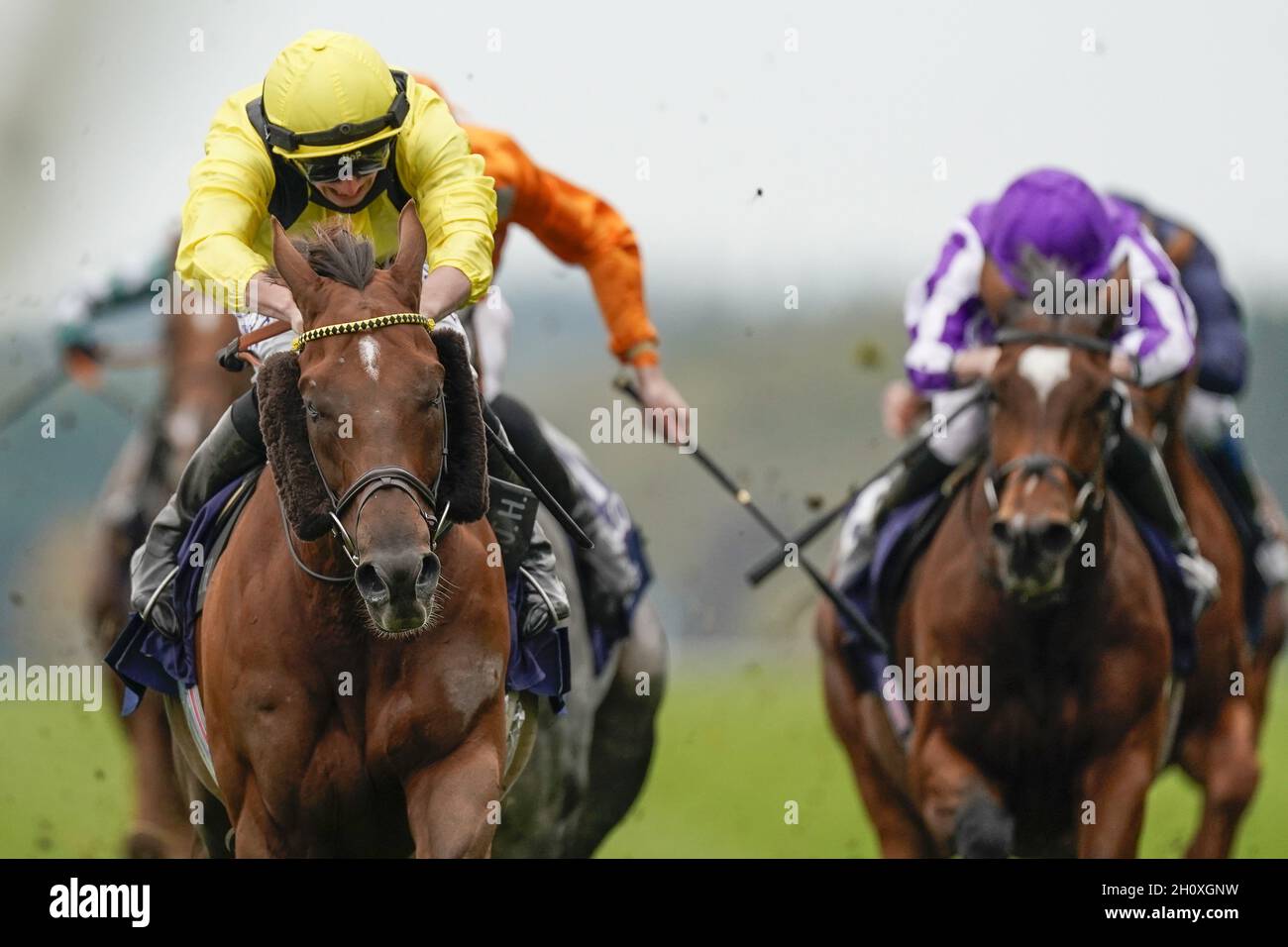 Datei-Foto vom 17-10-2020 von Addeybb mit Tom Marquand, der die Qipco Champion Stakes auf der Ascot Racecourse gewann. Addeybb-Wertaufruf zur Beibehaltung der Ascot-Krone. Ausgabedatum: Freitag, 15. Oktober 2021. Stockfoto