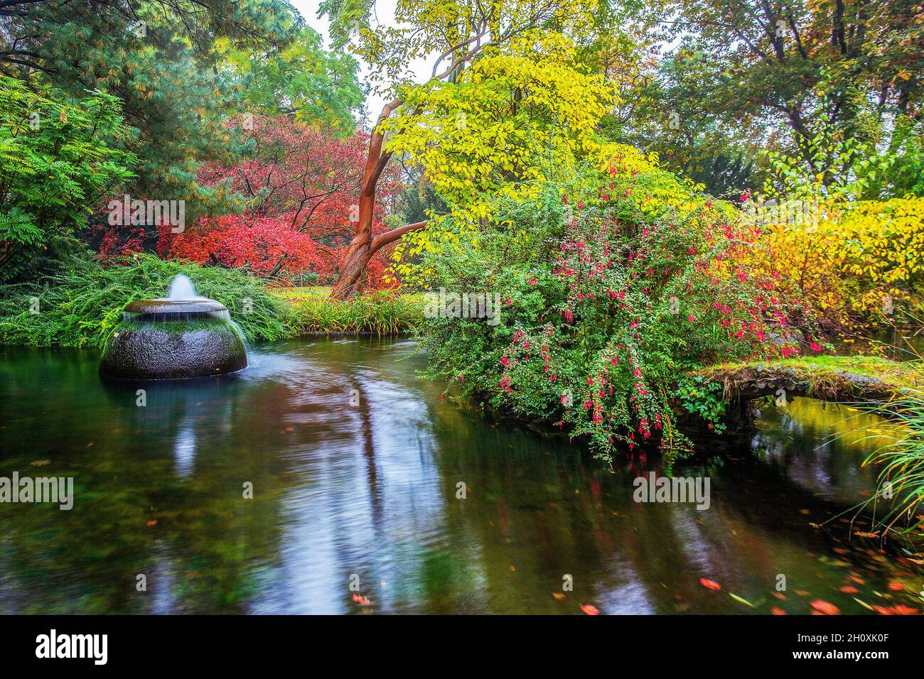 Entzückende rosa-gelbe Blüten in einem japanischen Garten in Leverkusen - die herbstliche Schönheit der Natur in Deutschland (Nordrhein-Westfalen). Teich und klein Stockfoto