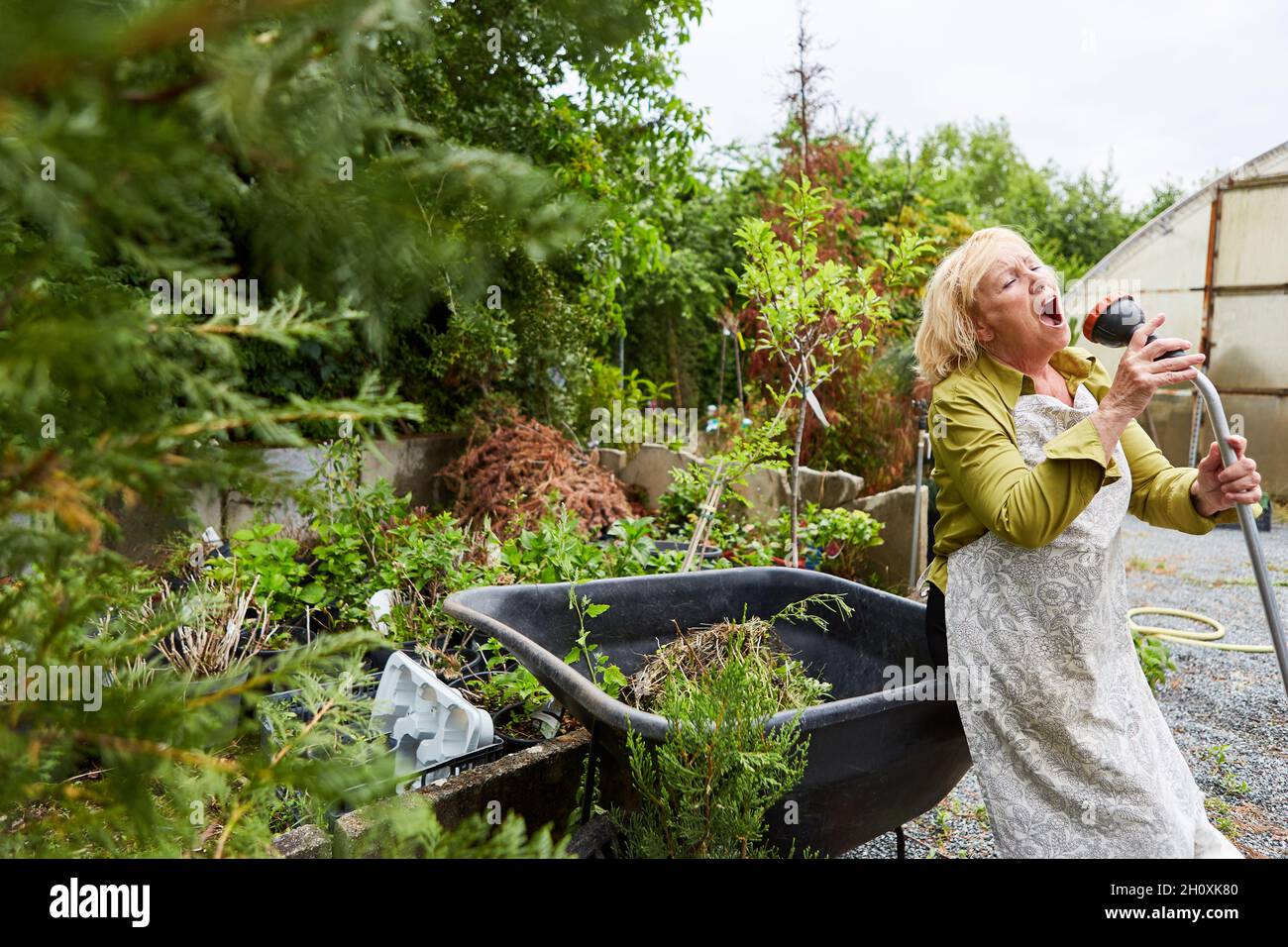 Seniorgärtner singt für Heiterkeit in einem Gartenschlauch in der Gärtnerei Stockfoto