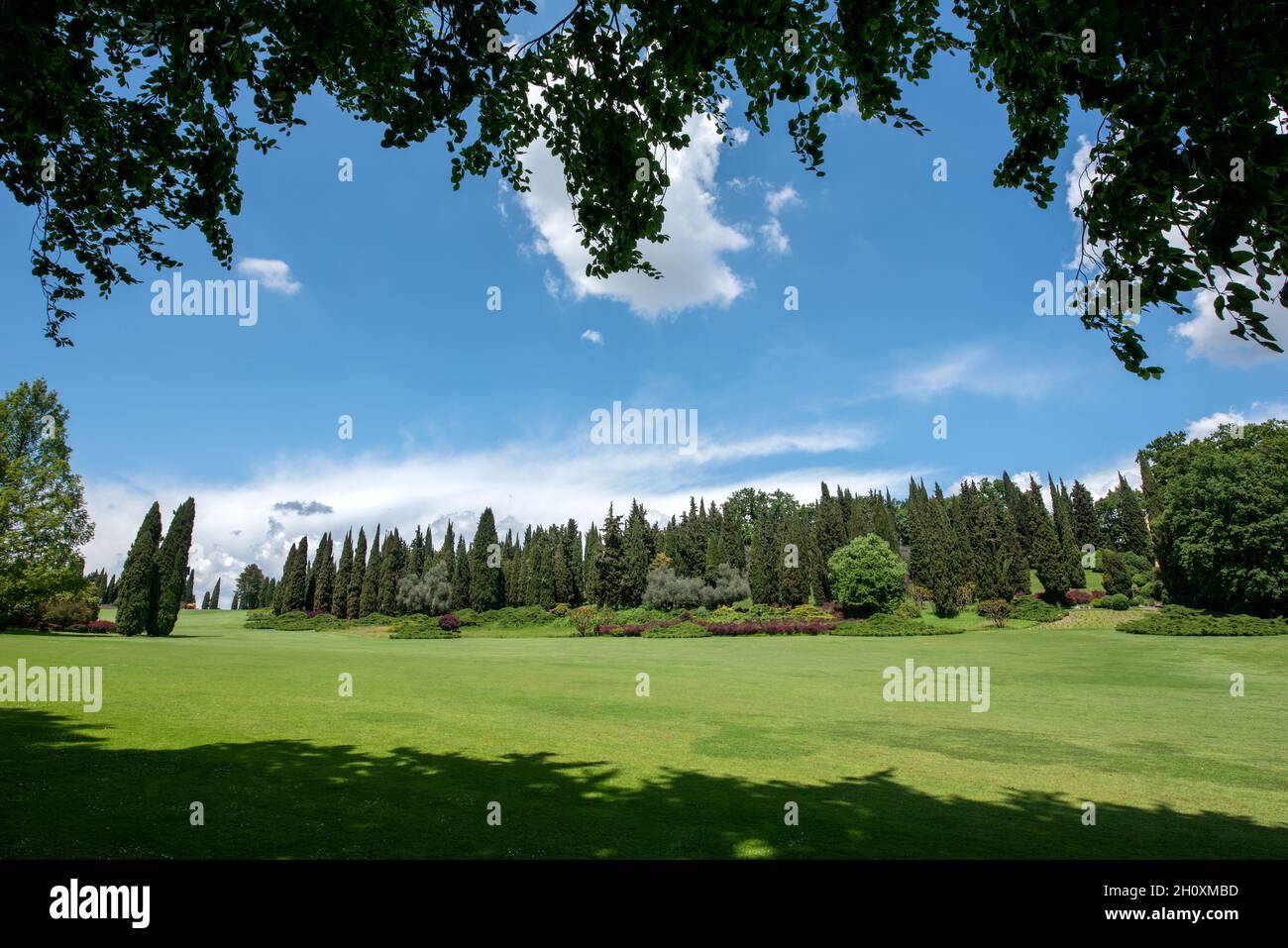 Großer, offener Garten mit immergrünen Zypressen, Blick über einen gepflegten Rasen aus grünem Gras unter einem sonnigen blauen Himmel mit Wolken in einer malerischen Landschaft Stockfoto